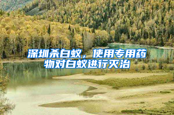 深圳杀白蚁，使用专用药物对白蚁进行灭治