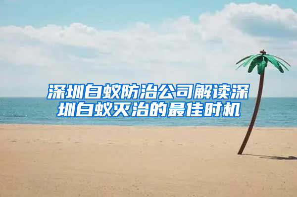 深圳白蚁防治公司解读深圳白蚁灭治的最佳时机