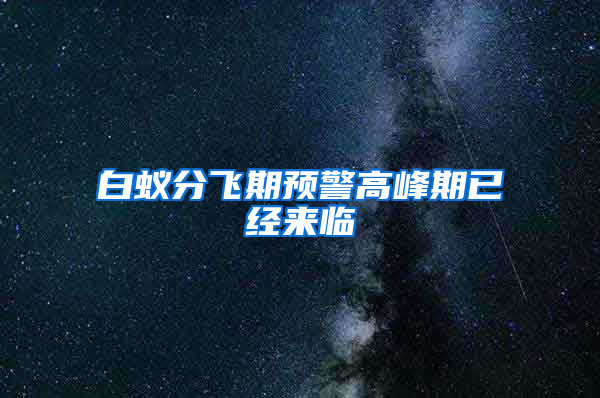 白蚁分飞期预警高峰期已经来临