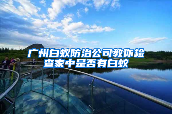 广州白蚁防治公司教你检查家中是否有白蚁