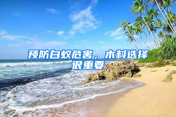 预防白蚁危害，木料选择很重要