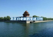 怎区分老鼠的生活习性