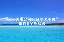 【灭虫公司】分享关于蜱虫的6个冷知识