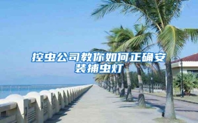 控虫公司教你如何正确安装捕虫灯