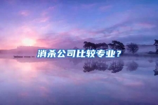 消杀公司比较专业？