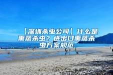 【深圳杀虫公司】什么是熏蒸杀虫？进出口熏蒸杀虫方案规范