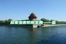 居家虫害防制宝典——蚤