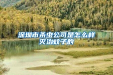 深圳市杀虫公司是怎么样灭治蚊子的