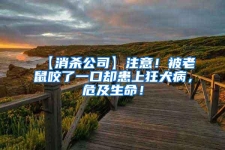 【消杀公司】注意！被老鼠咬了一口却患上狂犬病，危及生命！