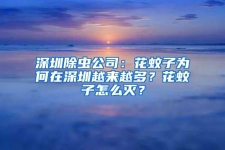 深圳除虫公司：花蚊子为何在深圳越来越多？花蚊子怎么灭？