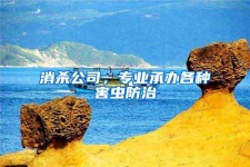 消杀公司，专业承办各种害虫防治