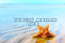 【杀虫公司】蜱虫对人类的危害