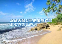 深圳灭鼠公司的家庭老鼠怎么办怎么防治