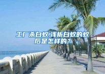 工厂杀白蚁,浅析白蚁的蚁后是怎样的？