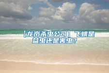 【龙岗杀虫公司】飞蛾是益虫还是害虫？