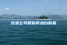 控虫公司教你防治白粉虱